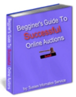 Product picture A Beginners Guide To Online Auctions with MRR